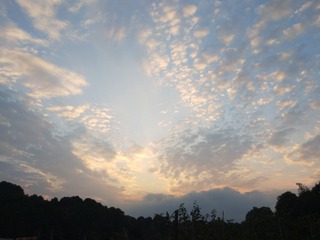 3012492