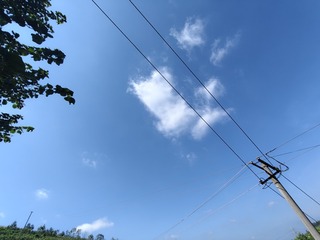 1000002206