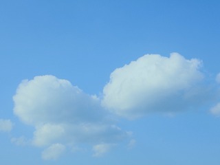 1000006604