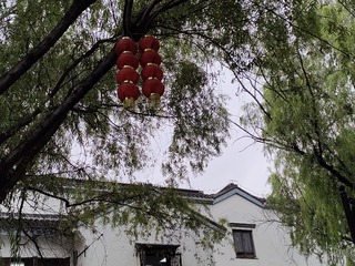 1000013975