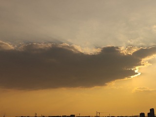 1000008241