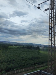 1000254067