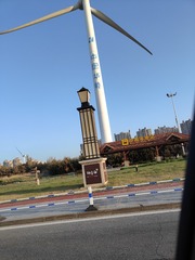 1000247556