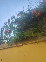 1000254866