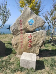 1000247488