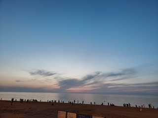 1000247390