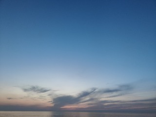 1000247391