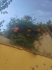 1000254864