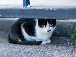 7718