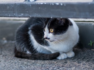7719