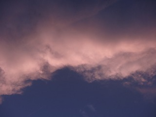 13166