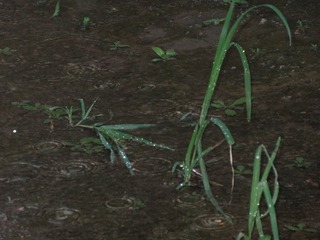 14051