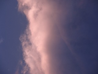 13165