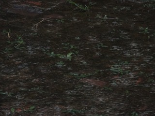 14055