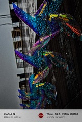 1000011526