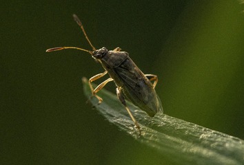 973683