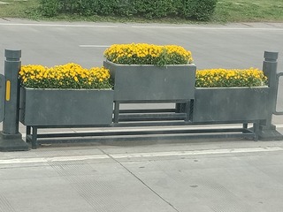 1000003753