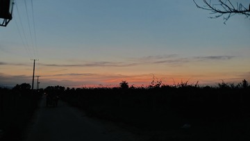 1000039441