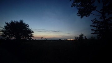 1000039446