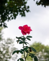 001