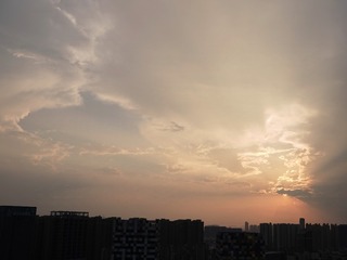 1000013006