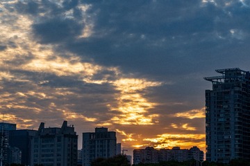 1000033667