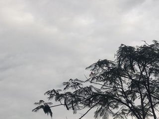 79112