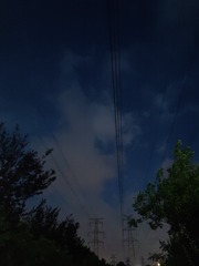 1000086853