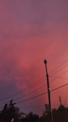 1000130692