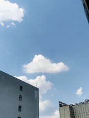 1000005606
