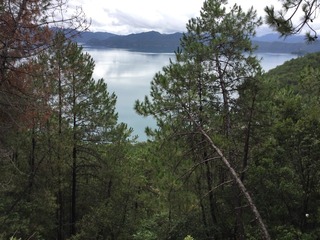 2015-08-15 111026