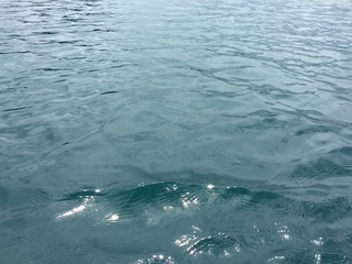 1000050821