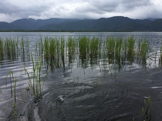 2015-08-16 100155
