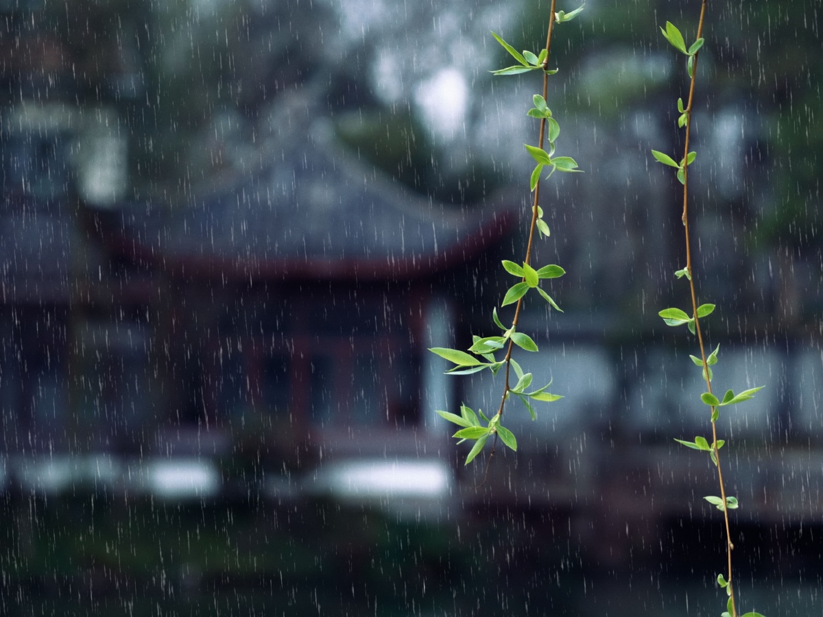 好雨知时节当春乃发生