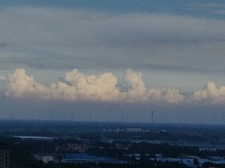 1000029535