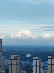 1000029520