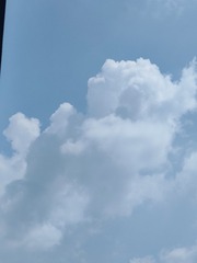 1000029482