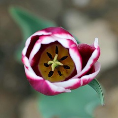 001