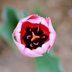 001