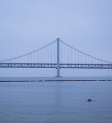 56298