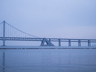 56310