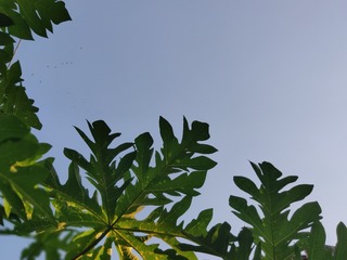 IMG_20240805_181456