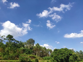 1655586