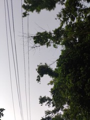 1655640