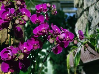 IMG_20240810_193421