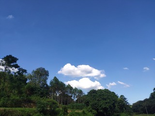 1655590