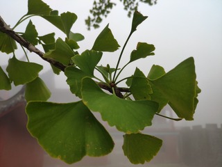 IMG_20240815_104221