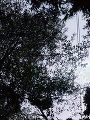 1655142