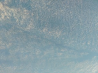 IMG_20240802_063151