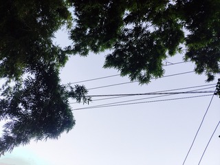 1655636